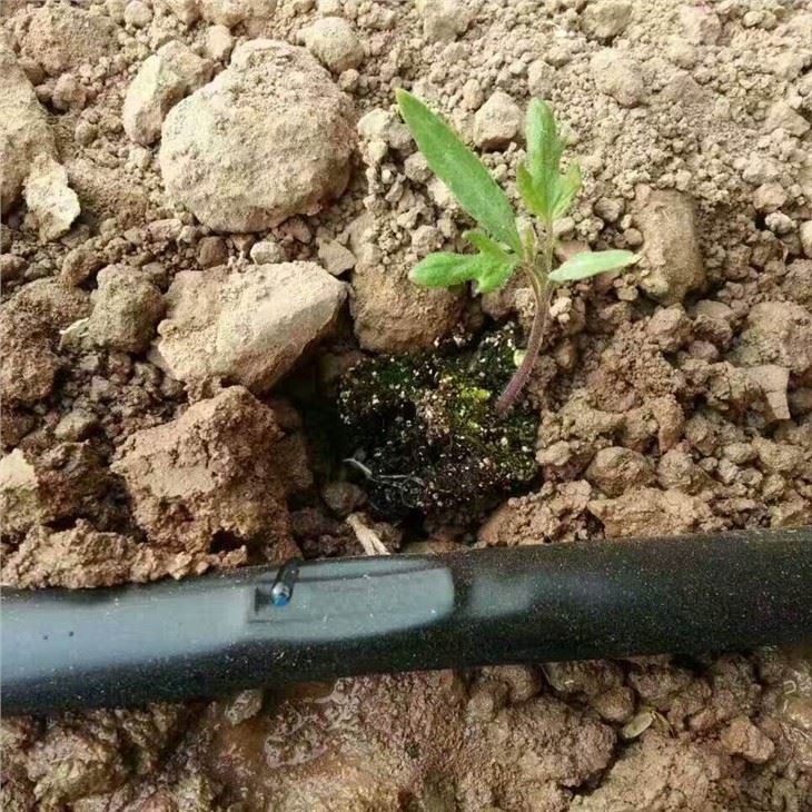 drip-irrigation-tape