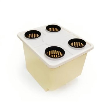 Sistema hidropònic de galleda holandesa