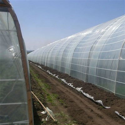 Pel·lícula de plàstic d'hivernacle de 200 micres resistent als UV - Coberta agrícola duradora